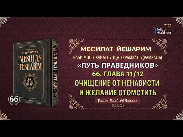 𝟔𝟔. Месилат Йешарим 11 | Очищение от ненависти и желание отомстить | Рабби Лев Лэйб Лернер