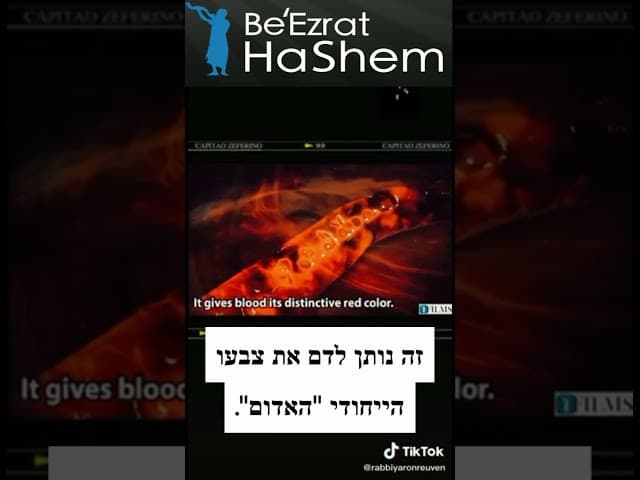 שם השם