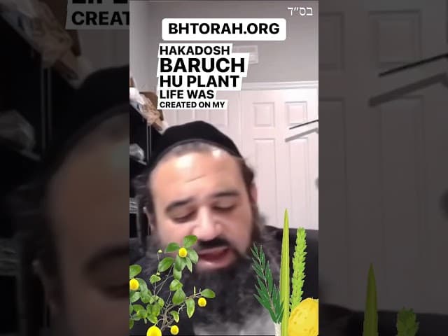 Angels of The Third Day Of Creation #Torah #Jewish #RabbiYaronReuven #Sukkot