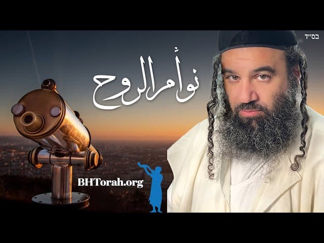3 نصائح للعثور على شريك روحك.