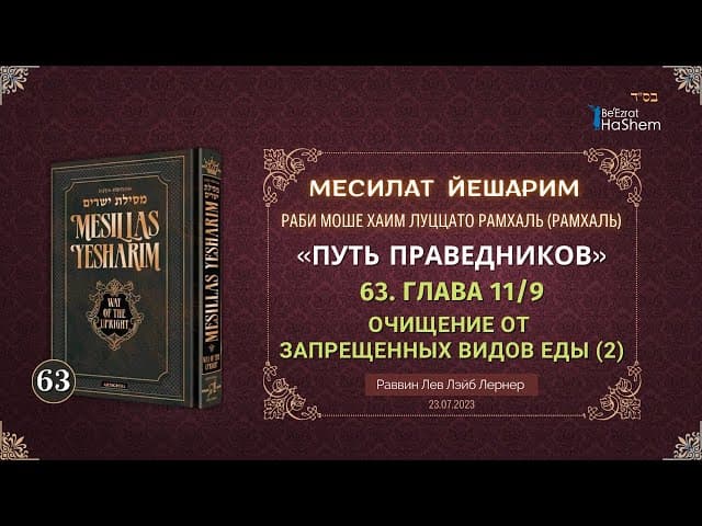 𝟔𝟑. Месилат Йешарим 11 | Очищение от запрещенных видов еды (2) | Рабби Лев Лэйб Лернер