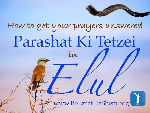 Parashat Ki Teitzei: How to Get Your Prayer Answered During Elul & Judgement Day