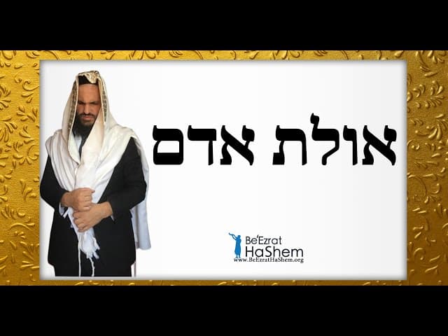 👅👅👅 איוולת אדם