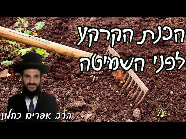 הכנת הקרקע לפני השמיטה | קצרים