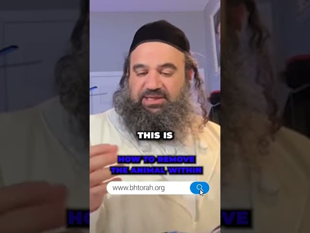 How to Remove the Animal Within