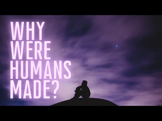 Why Were Humans Made?