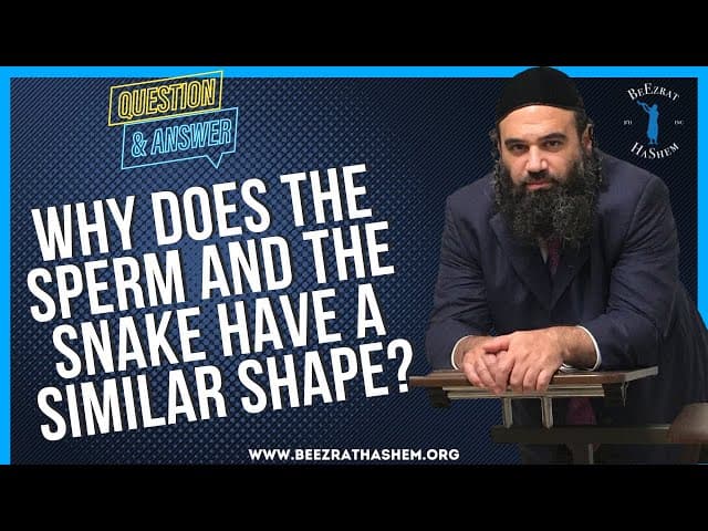   WHY DOES THE SPERM AND THE SNAKE HAVE A SIMILAR SHAPE