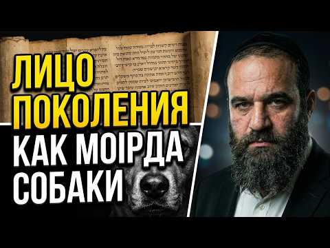 Лицо поколения как морда собаки | Раввин Ярон Реувен