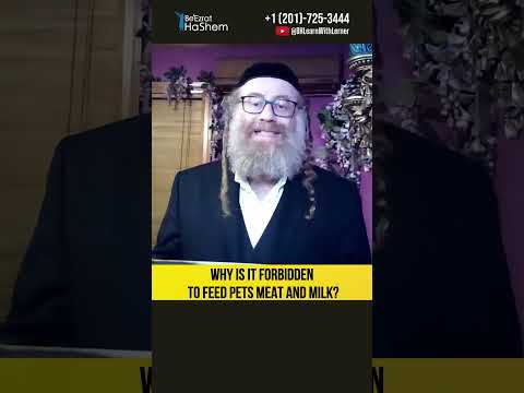 Why Is It Forbidden To Feed Pets Meat and Milk? #Torah #shorts