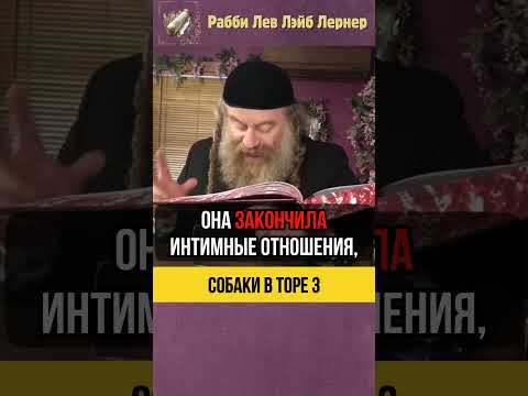 [3] Собаки в Торе 🐶 Запрещенные интимные отношения #Тора #shorts