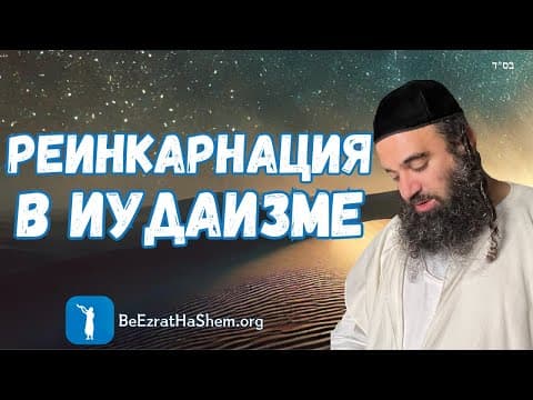 Реинкарнация: милость или наказание? - Мусар